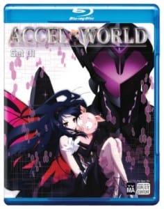 AccelWorld1