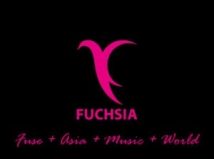 Fuschia Banner 250 x 300