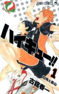 Haikyu Manga Volume 1 Cover - 20151009