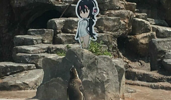 Internet Icon “Grape-kun” the Humboldt Penguin Passes Away