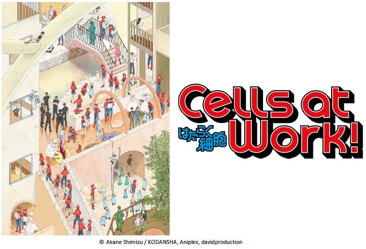 “Cells at Work!” Manga Gets Anime TV Series; Aniplex of America Opens English Site