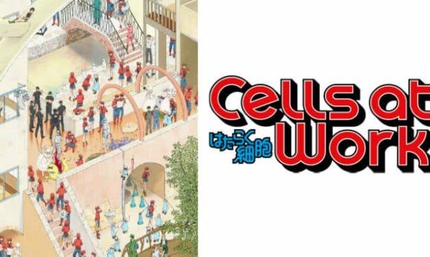 Cells At Work! Anime Gets English Dub