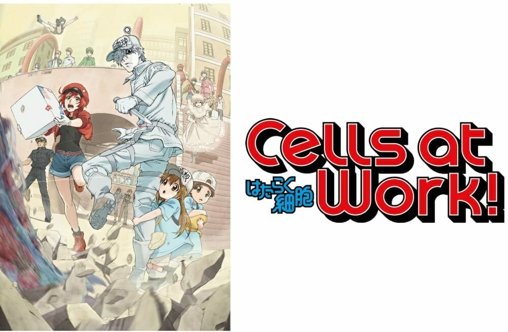 Cells At Work! Horizontal Visual