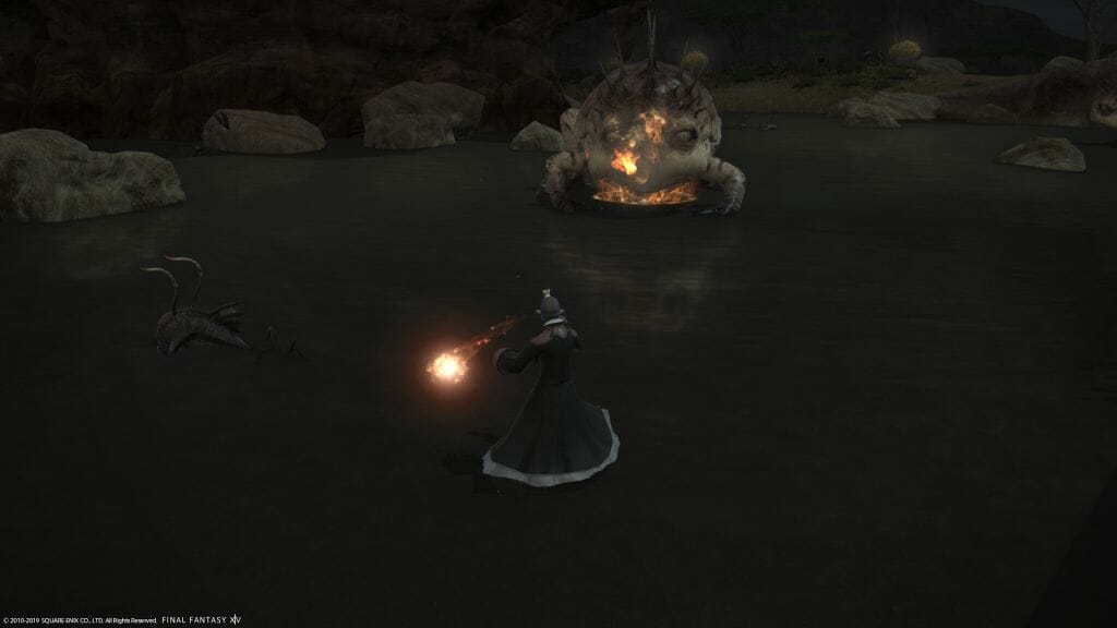 Skye Graneterre, a Duskwight Elezen, battles a Toxic Toad in Final Fantasy XIV