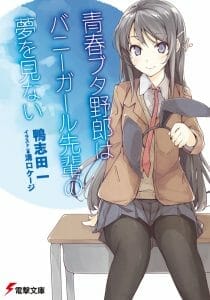 Rascal Does Not Dream of Bunny Girl Senpai Novel Volume 1 Cover