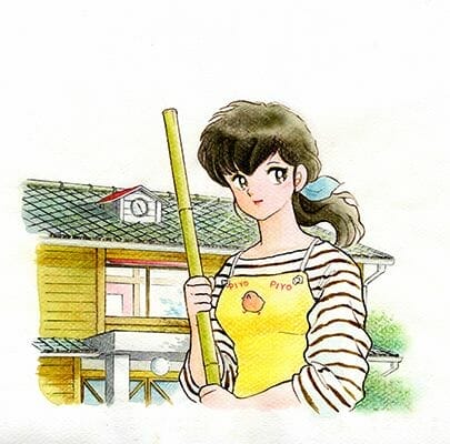 Maisok Ikkoku Manga Visual