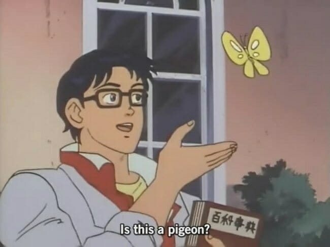 Still of a man gesturing at a butterfly. Subtitle: "Is this a pigeon?"