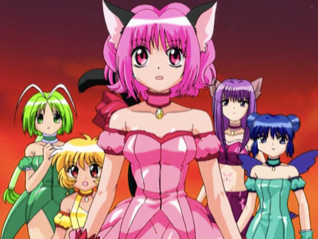 Group shot of the central cast of Tokyo Mew Mew
